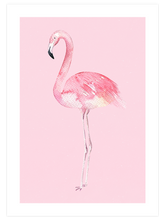Flamingo - Art Print